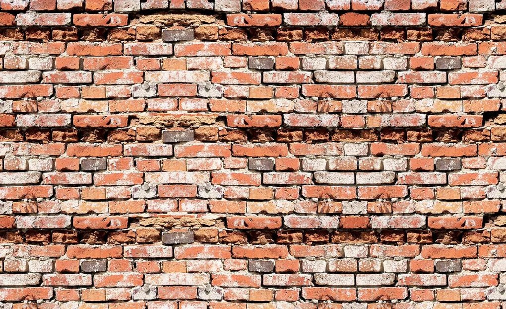 Fototapet - Red Brickwall (254x184 cm)