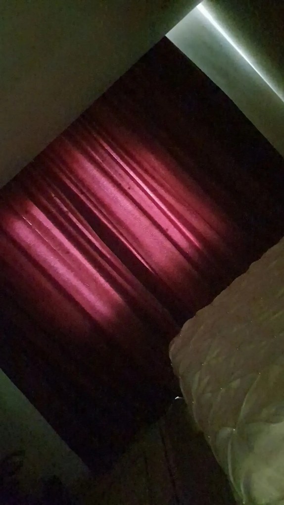 Perdea  Blackout opaca bordo,50x260 cm,50021