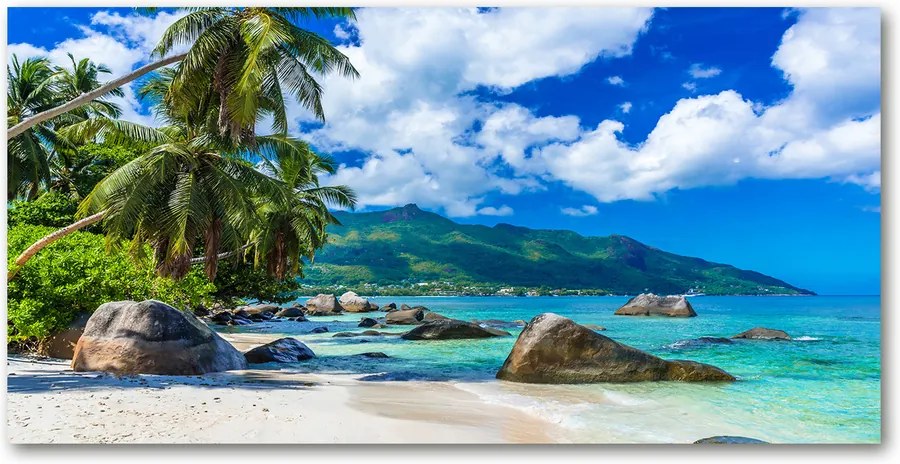 Tablou pe acril Plaja Seychelles