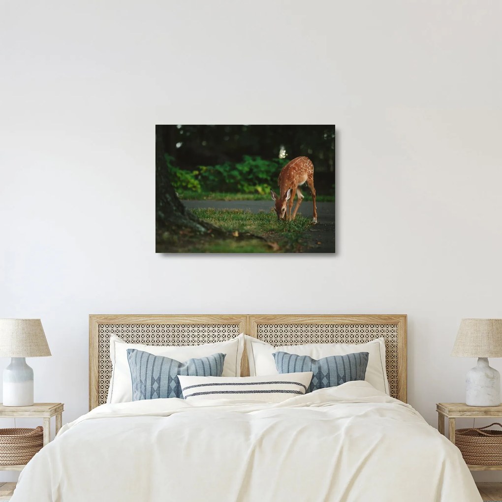 Tablou pe sticlă cu pui de cerb (70x50 cm)