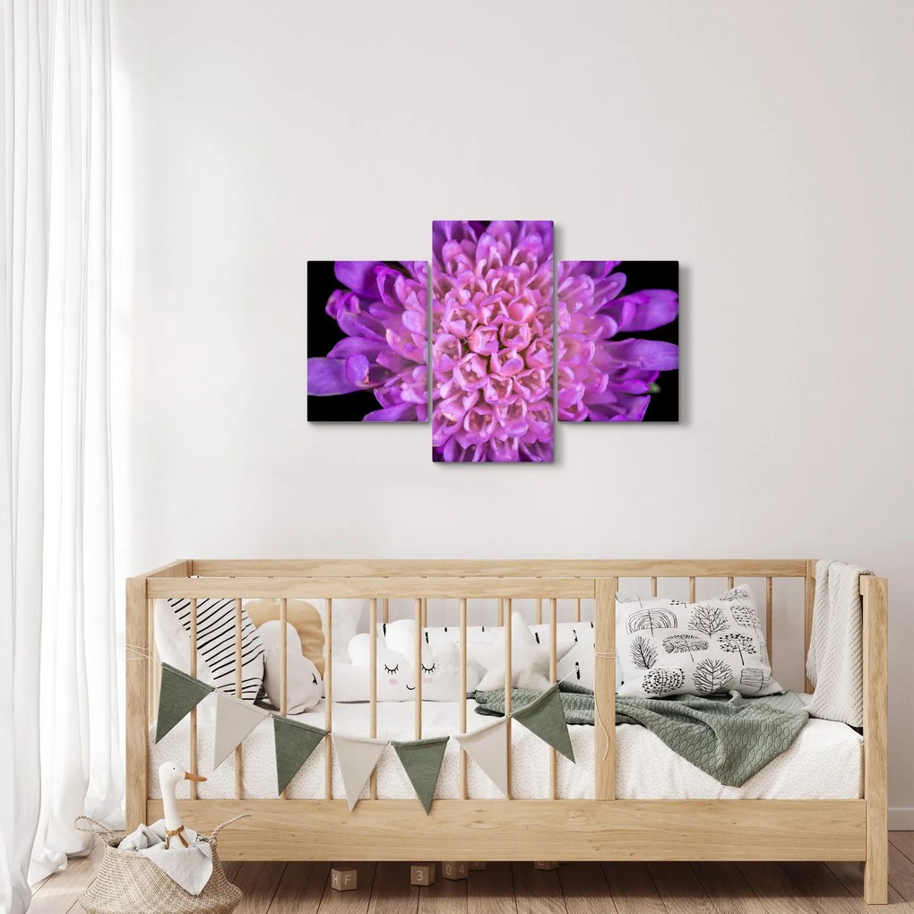 Tablou detailat cu floare (90x60 cm)