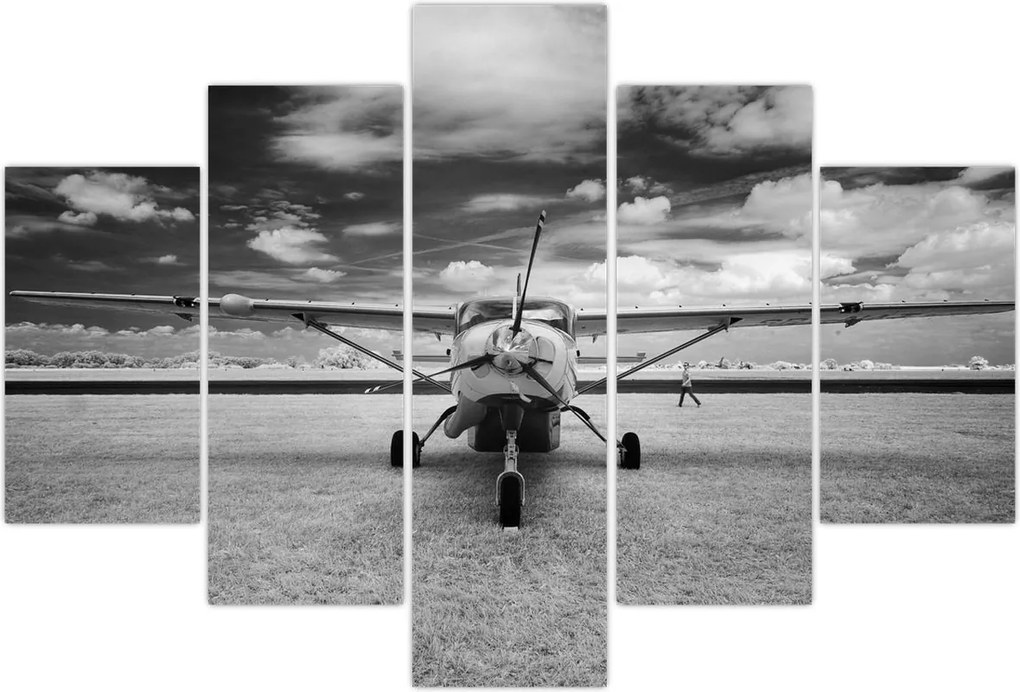 Tablou - Avion alb-negru și alb-negru (150x105 cm)