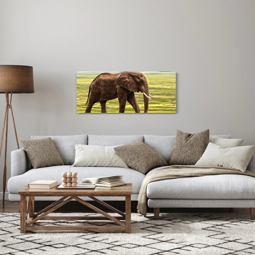 Tablou - Elefantul (120x50 cm)