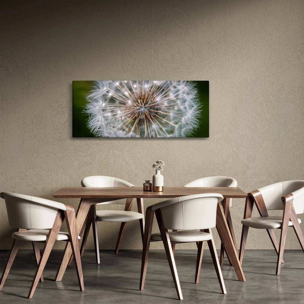 Tablou cu păpădie (120x50 cm)