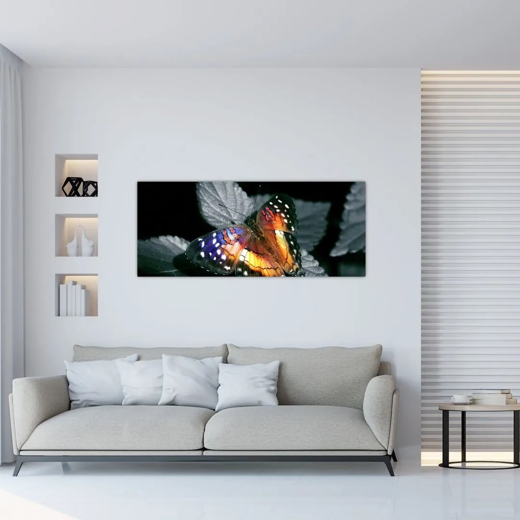 Tablou cu fluture (120x50 cm)