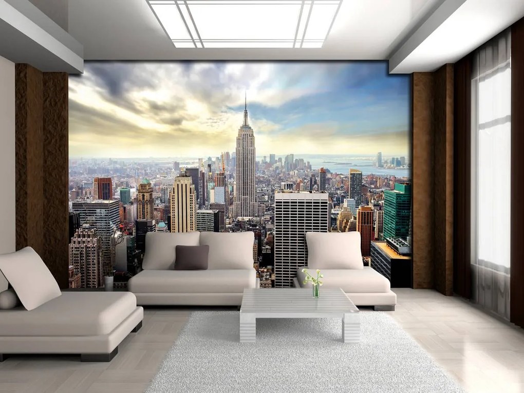 Fototapet - Panoama New York-ului (254x184 cm)
