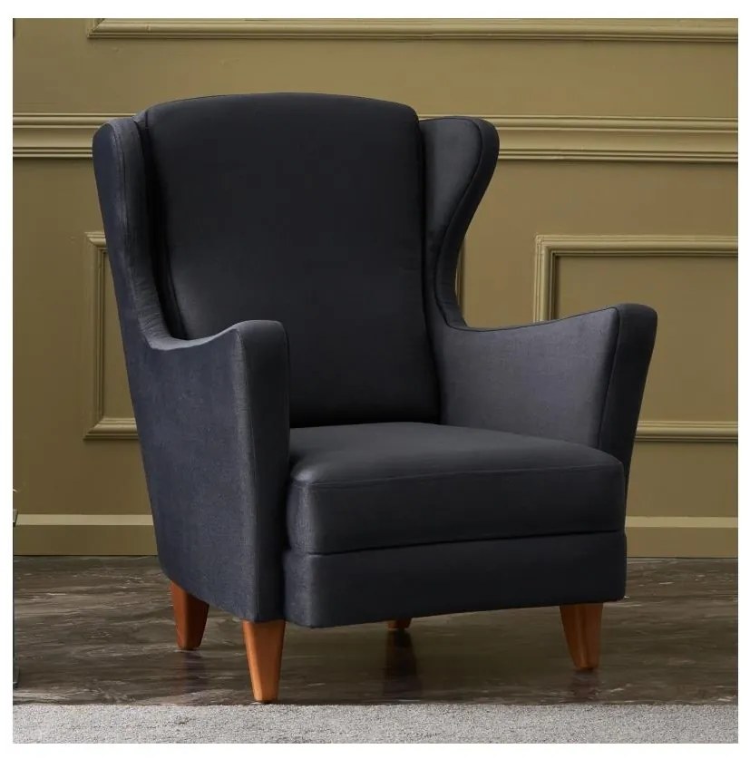 Fotoliu cu aripi NUPI, antracit