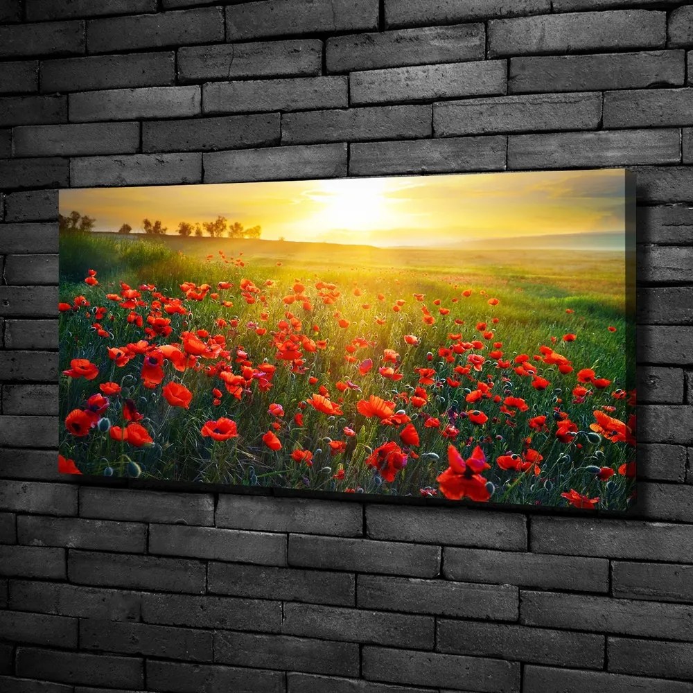 Imprimare tablou canvas Câmp de maci