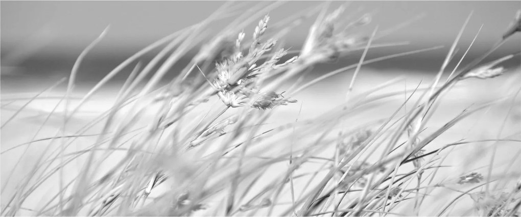Tablou - Iarbă de plajă (120x50 cm)