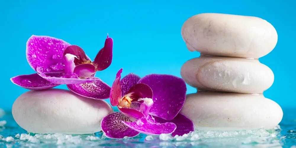 Tablou wellness natura moartă