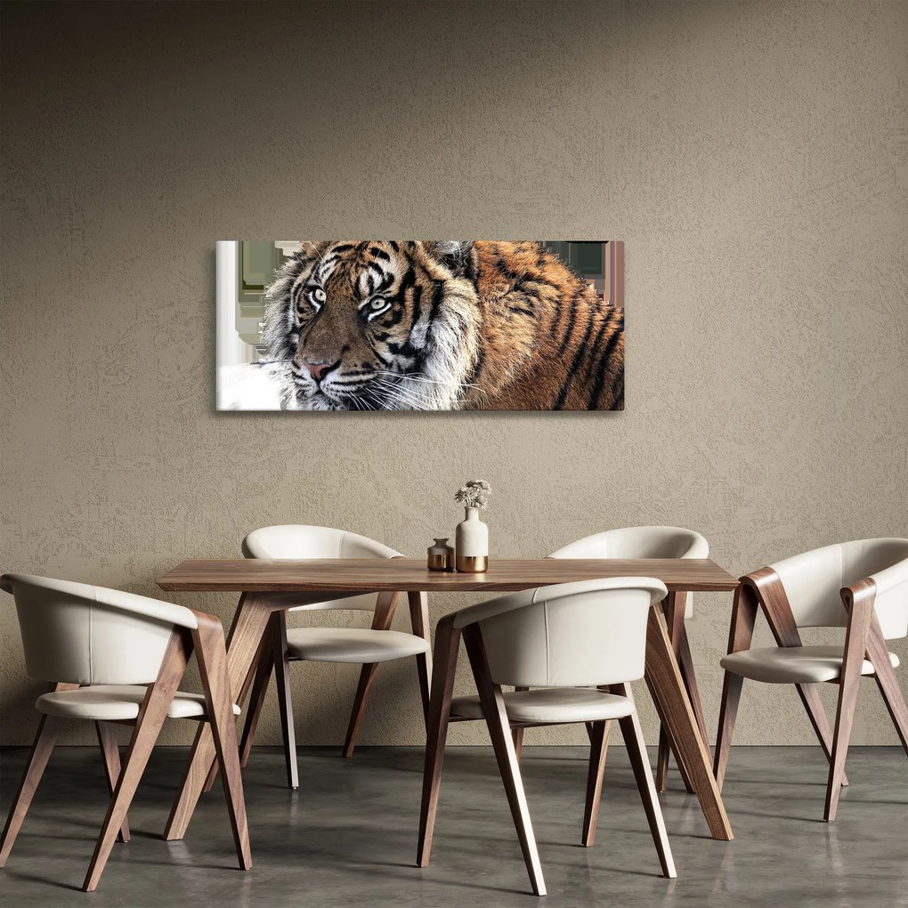 Tablou cu tigrul (120x50 cm)