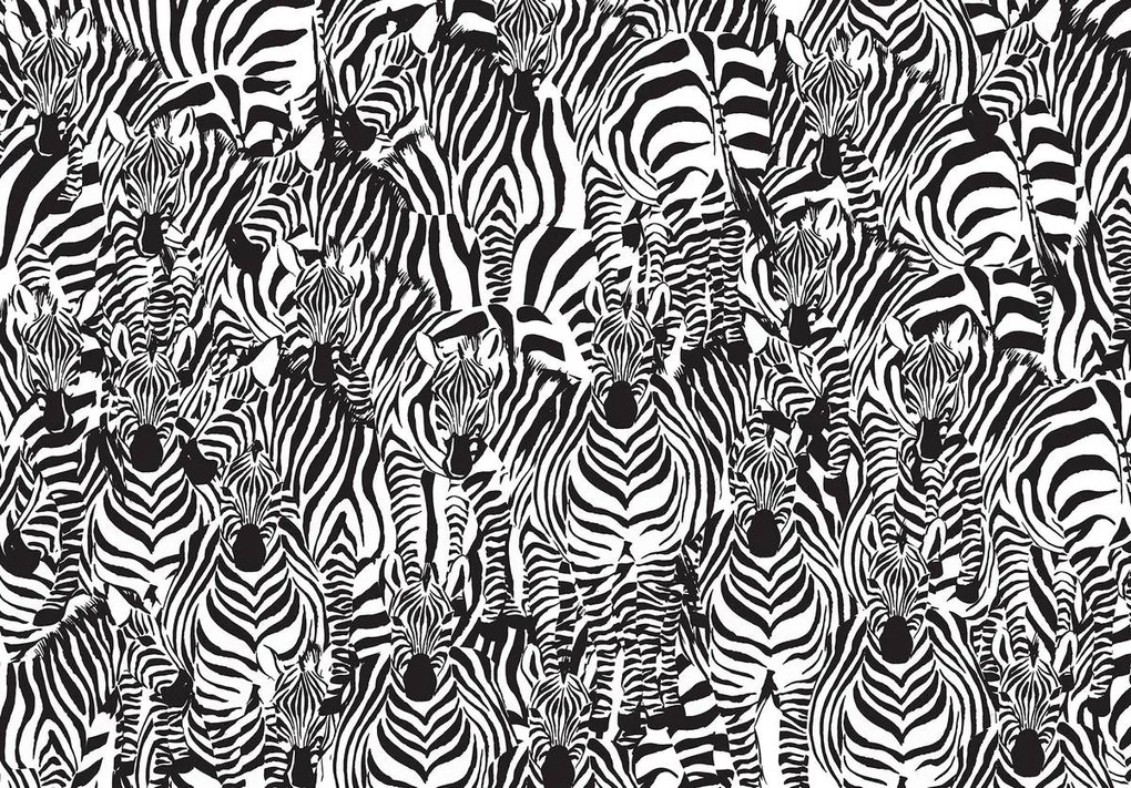Fototapet - Zebra (254x184 cm)