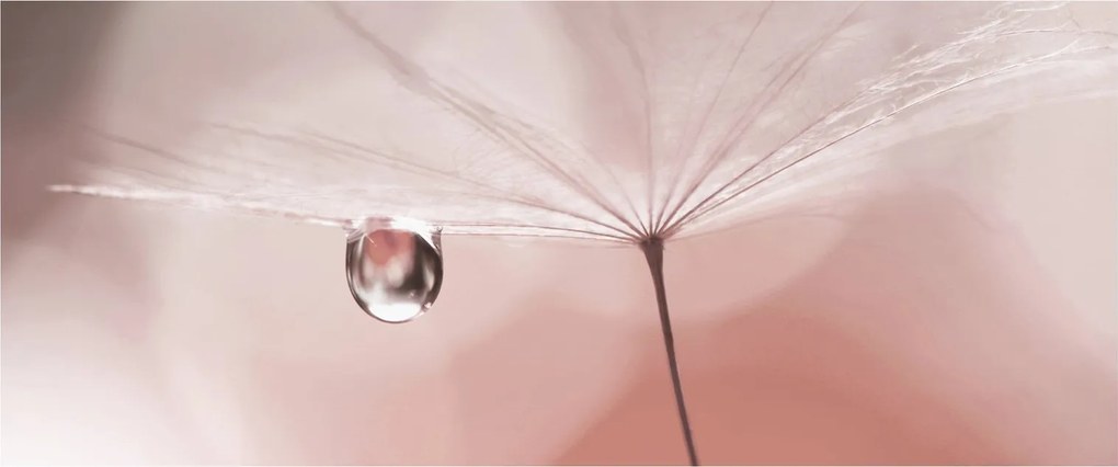 Tablou - O picătură de rouă (120x50 cm)
