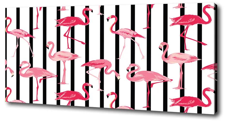 Tablou pe pânză canvas Baruri flamingos