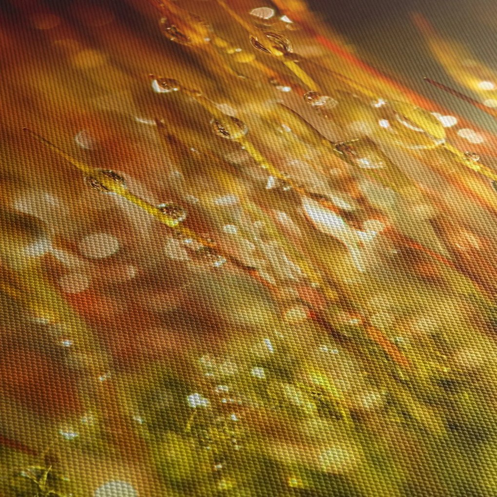 Tablou - Detaliu rouă (120x50 cm)