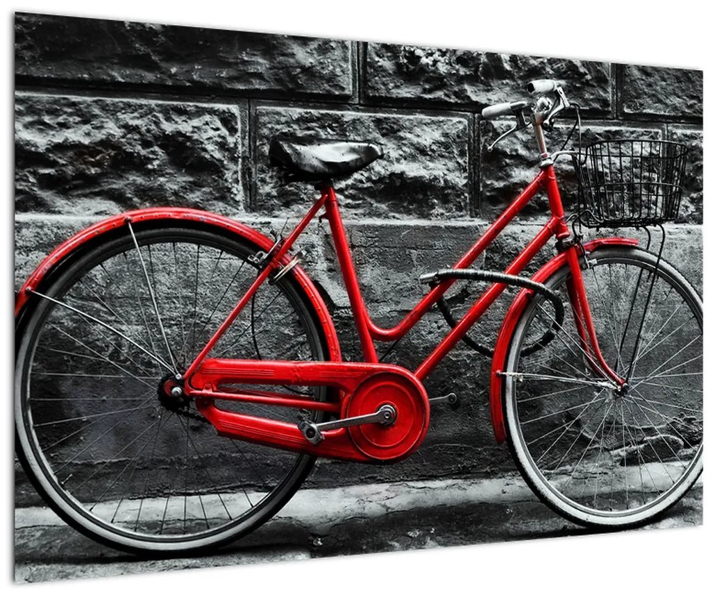 Tablou - Bicicleta istorică (90x60 cm)