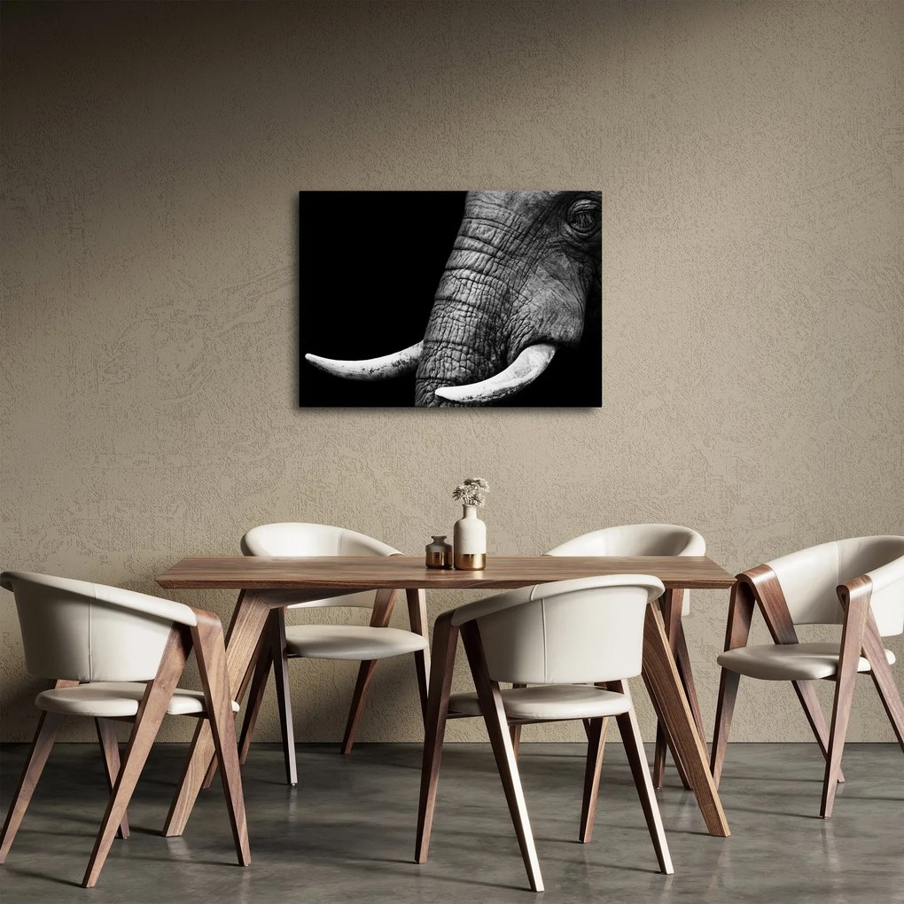 Tablou - Colți de elefant (70x50 cm)