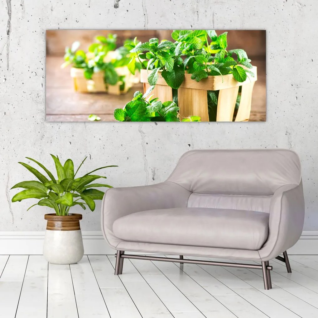 Tablou cu menta proaspătă (120x50 cm)