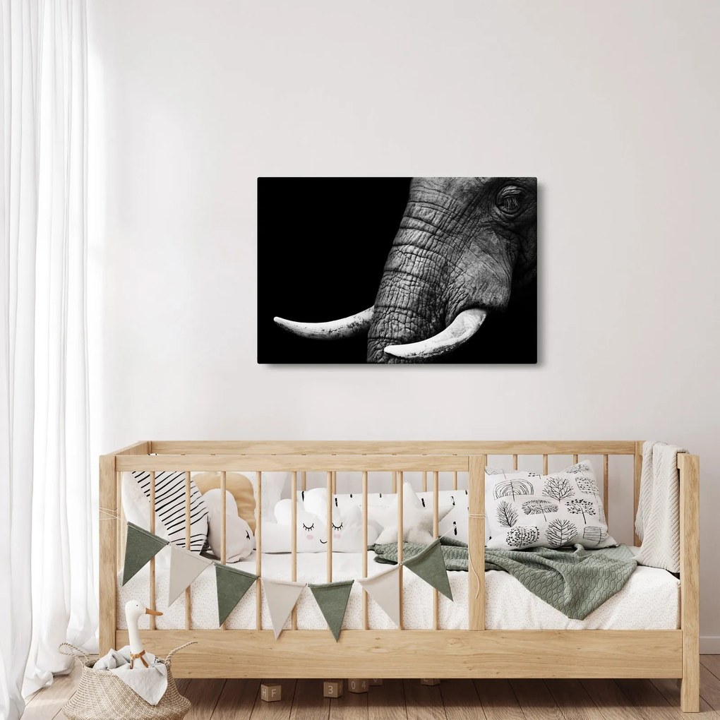 Tablou - Colți de elefant (90x60 cm)