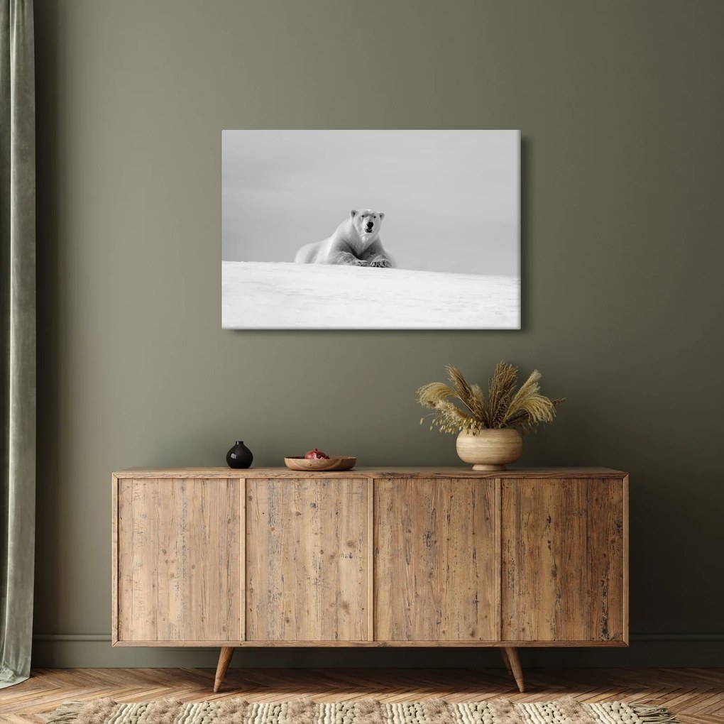 Tablou - Ursul polar (90x60 cm)