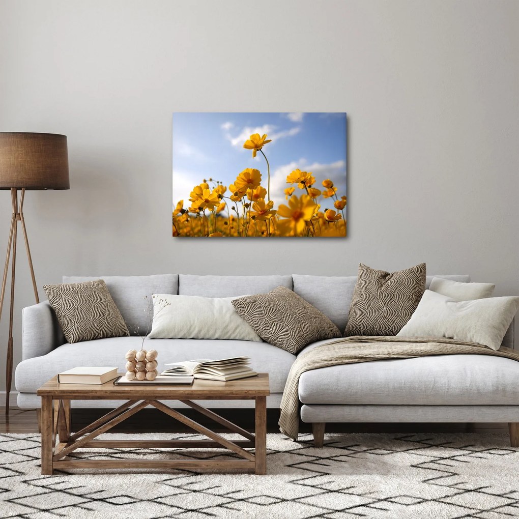 Tablou - Câmp cu flori galben deschis (70x50 cm)