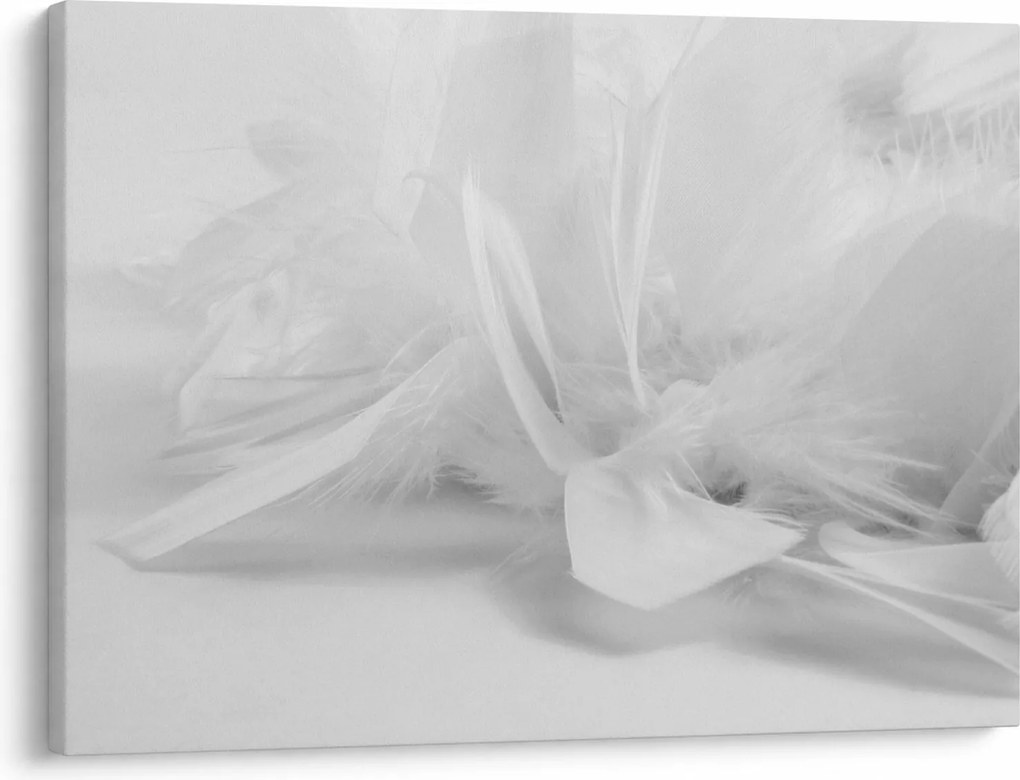 Tablou - Pene (70x50 cm)