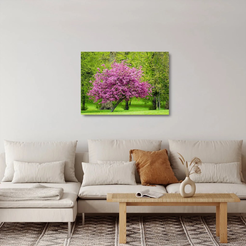Tablou pe sticlă cu pom înflorit pe luncă (70x50 cm)