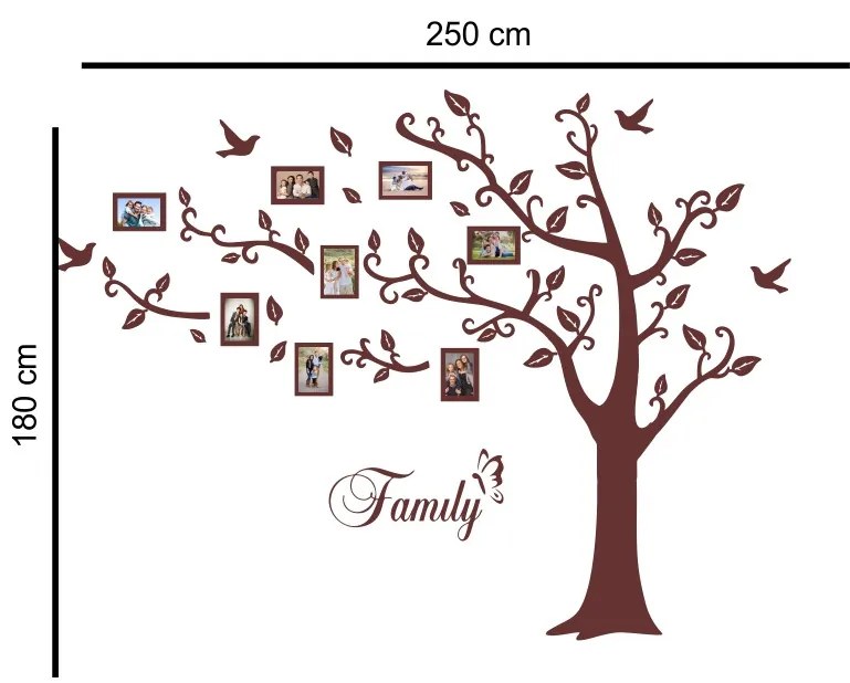 Sticker perete Photo Tree