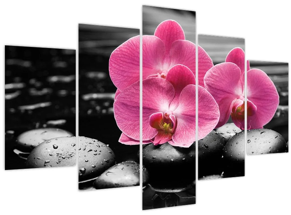 Tablou - Orhidee roz (150x105 cm)