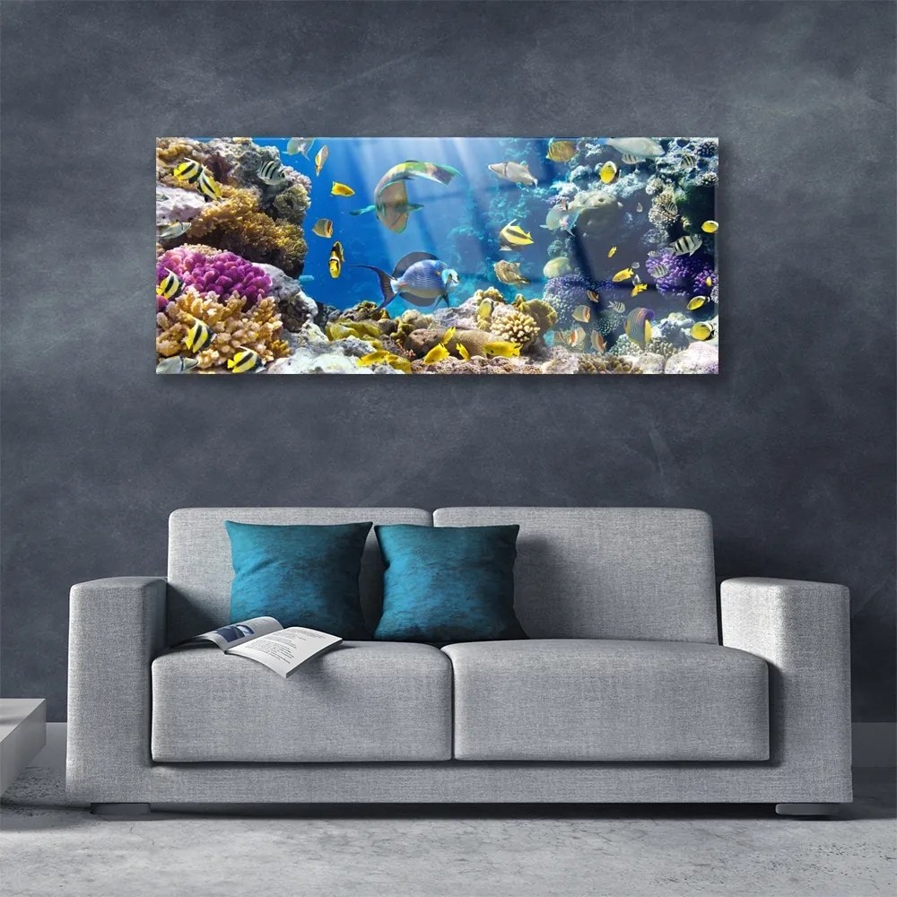 Tablou pe sticla Coral Reef Natura Multi