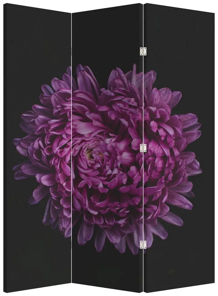 Paravan - Floare violetă (126x170 cm)