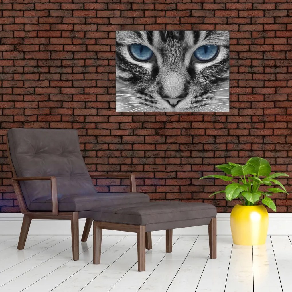Tablou cu pisica (70x50 cm)