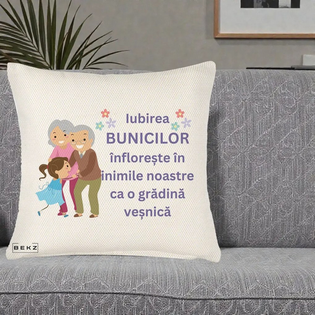 Cadou pentru Bunici - Perna Personalizata Bunicii Iubirea Infloreste Bunici cu Nepoata Colorat, 40x40 cm, Crem Reliefat, Husa Detasabila, Perna Inclusa, BEKZ®
