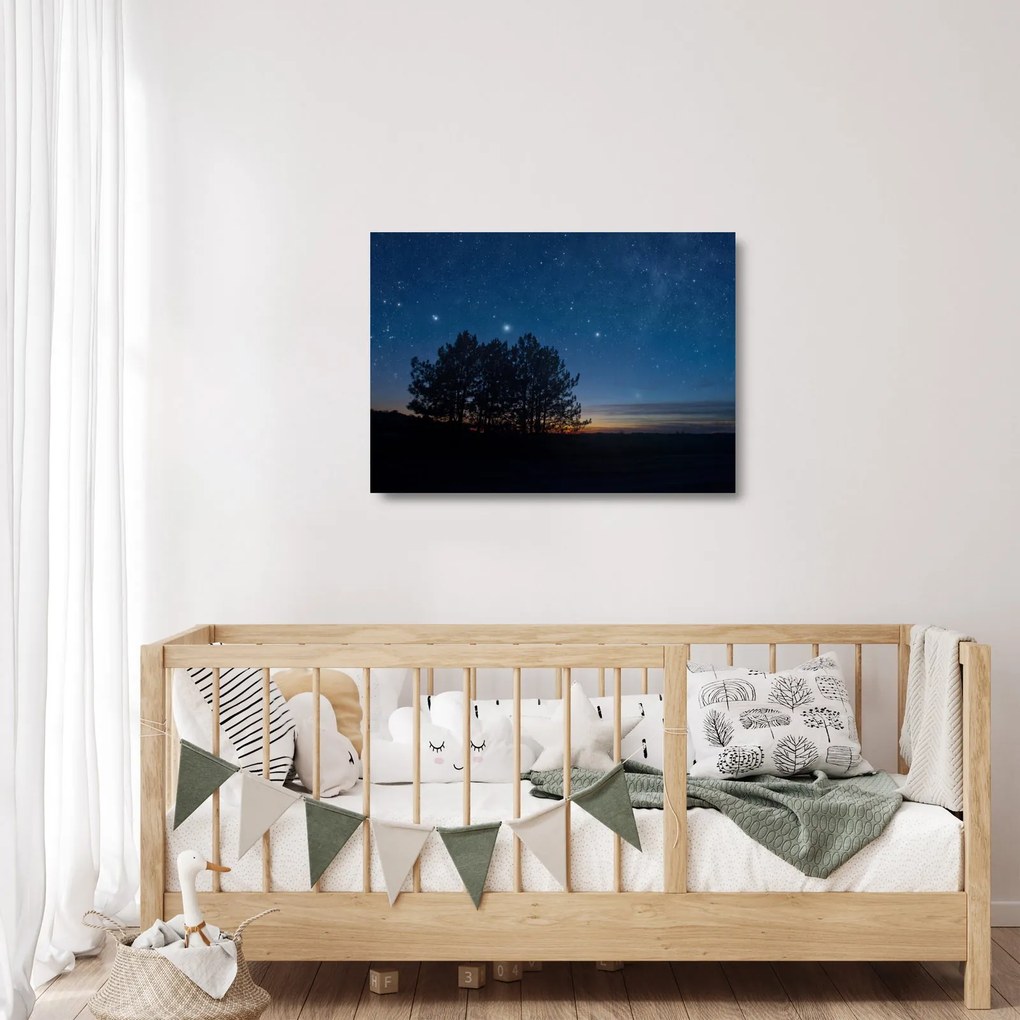 Tablou pe sticlă cu copaci noapte (70x50 cm)