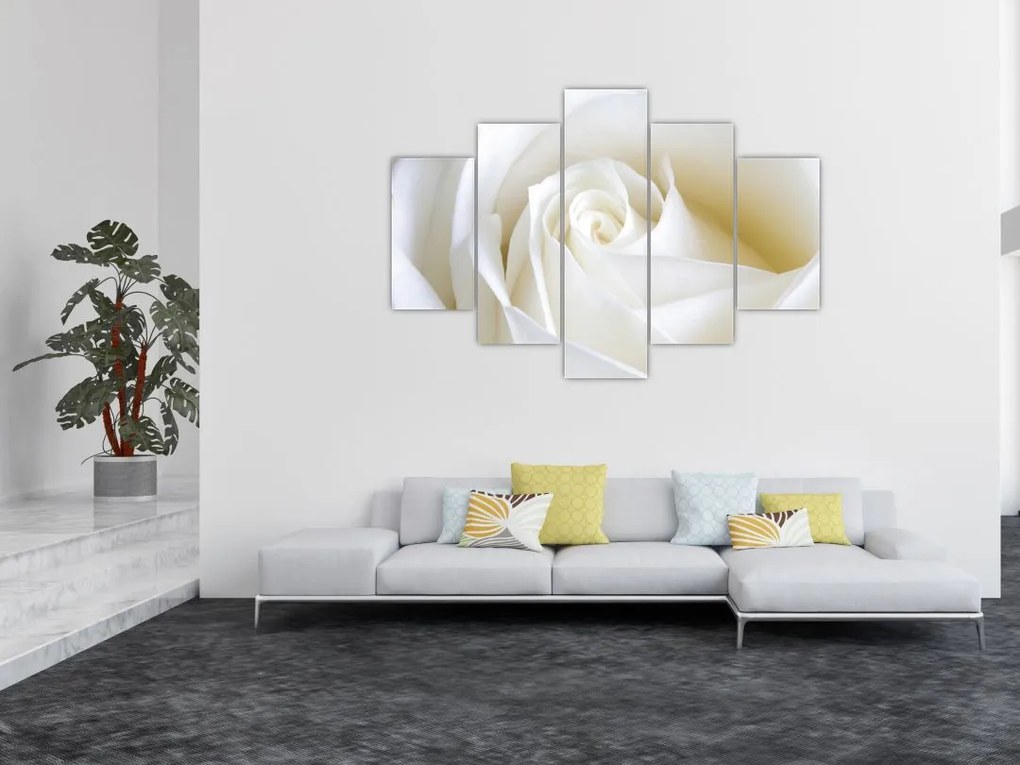 Tablou cu tandafir alb (150x105 cm)