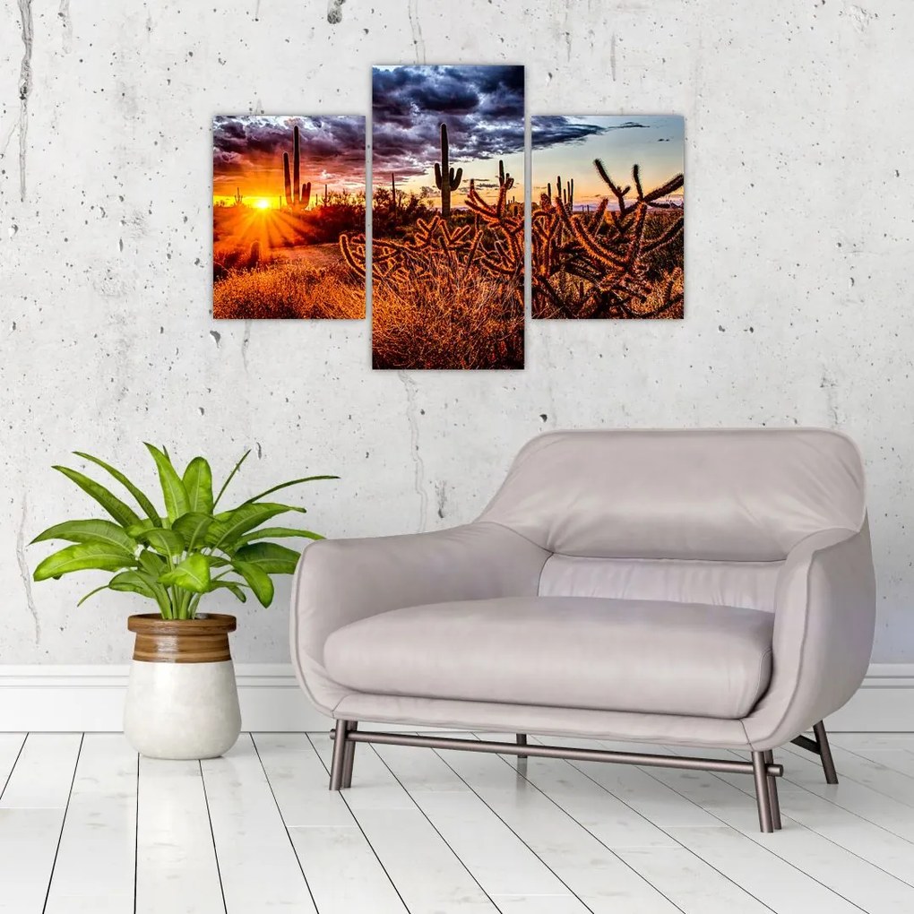 Tablou - Ora aurie a deșertului (90x60 cm)