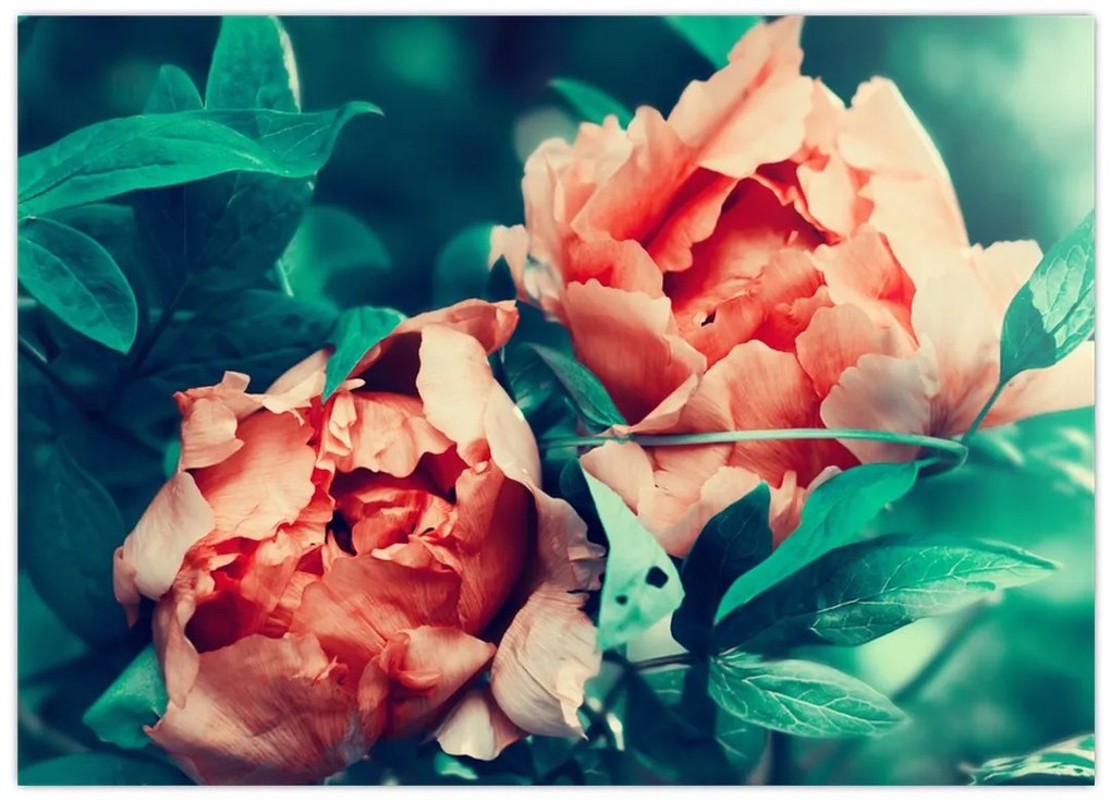 Tablou pe sticlă - Flori de primăvară (70x50 cm)