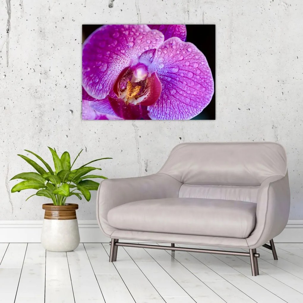Tablou pe sticlă detailat cu floare de orhidee (70x50 cm)