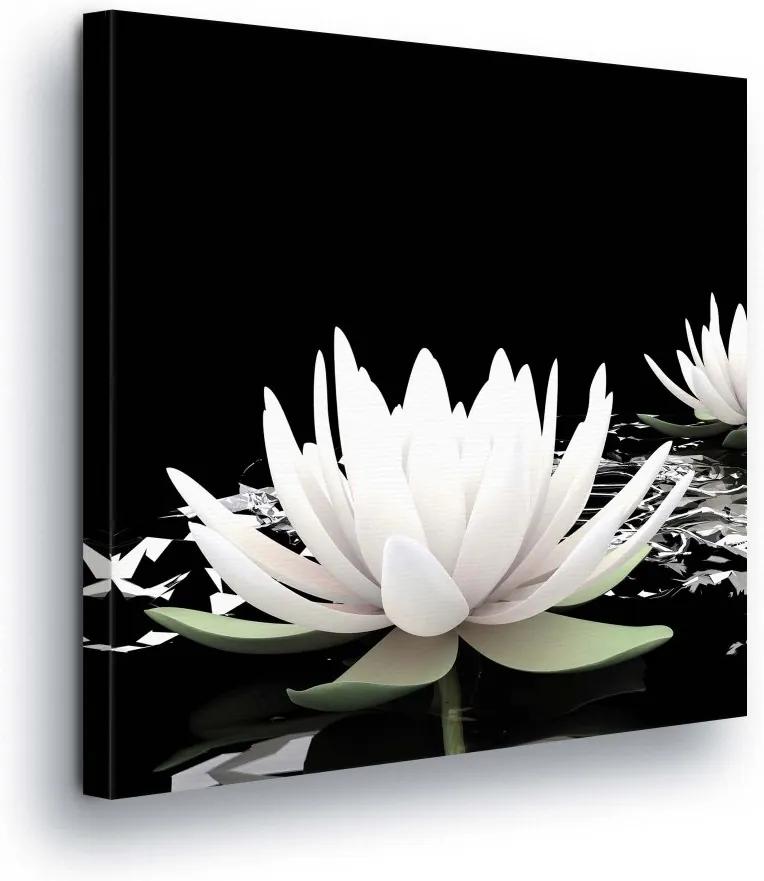 GLIX Tablou - Black and White Water Lily 80x80 cm