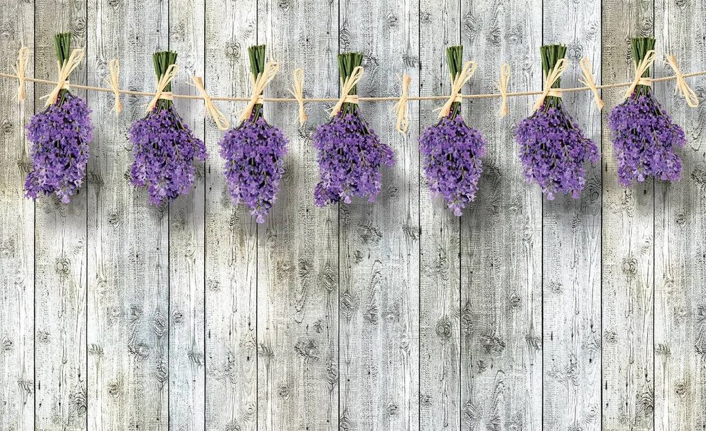 Fototapet - Lavanda (254x184 cm)