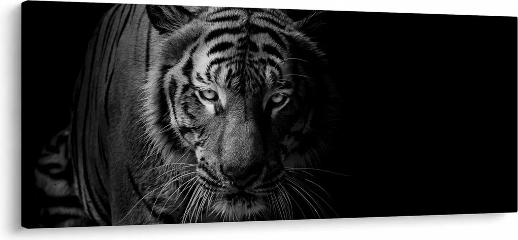 Tablou - Tigru sălbatic (120x50 cm)