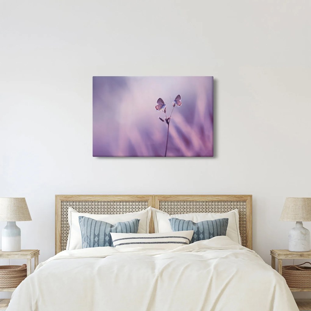 Tablou - Fluturi mov (90x60 cm)