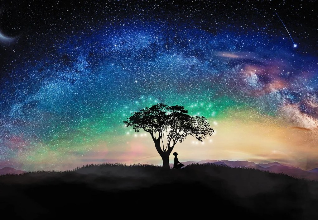 Fototapet - Aurora și copaci (147x102 cm)