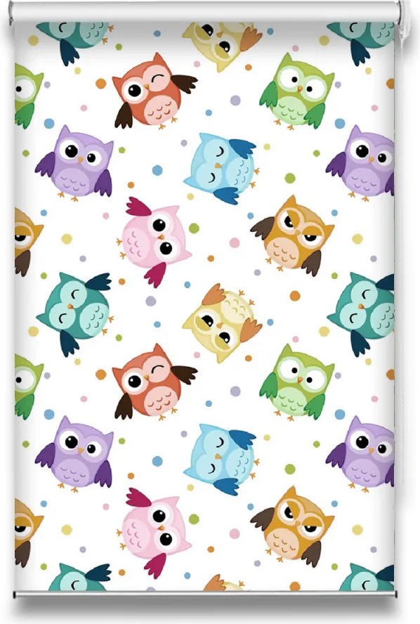 Roletă textilă Kids 7021 cu model bufnițe