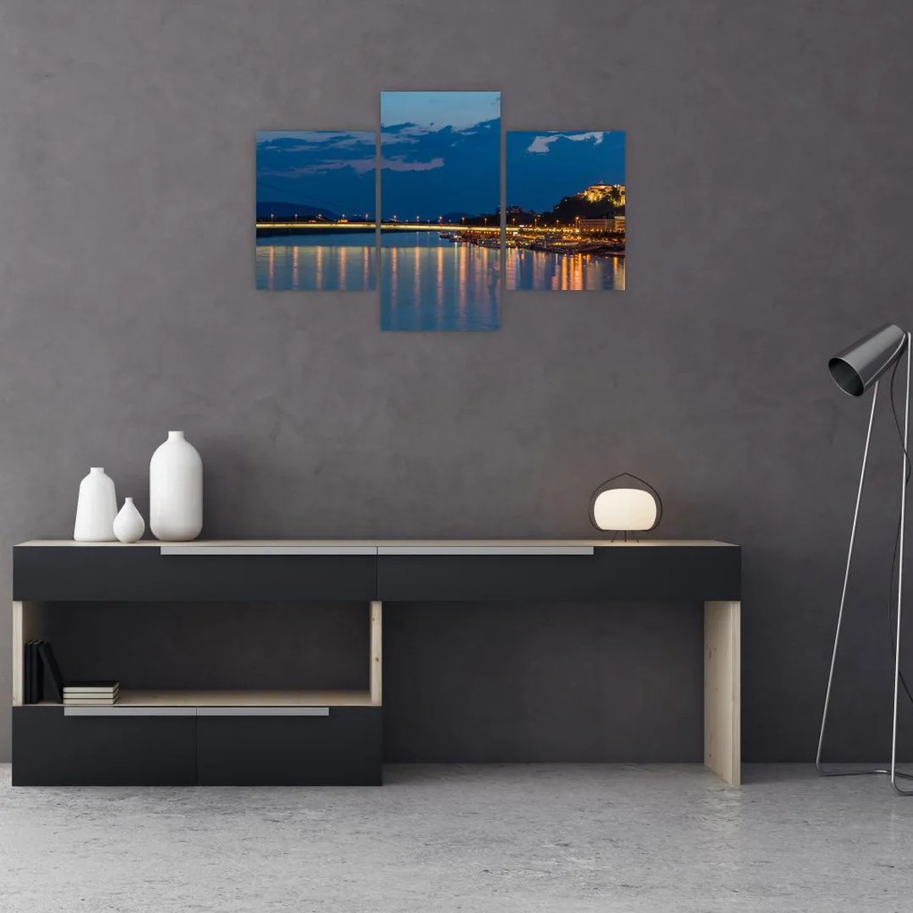 Tablou cu Bratislava și palat (90x60 cm)