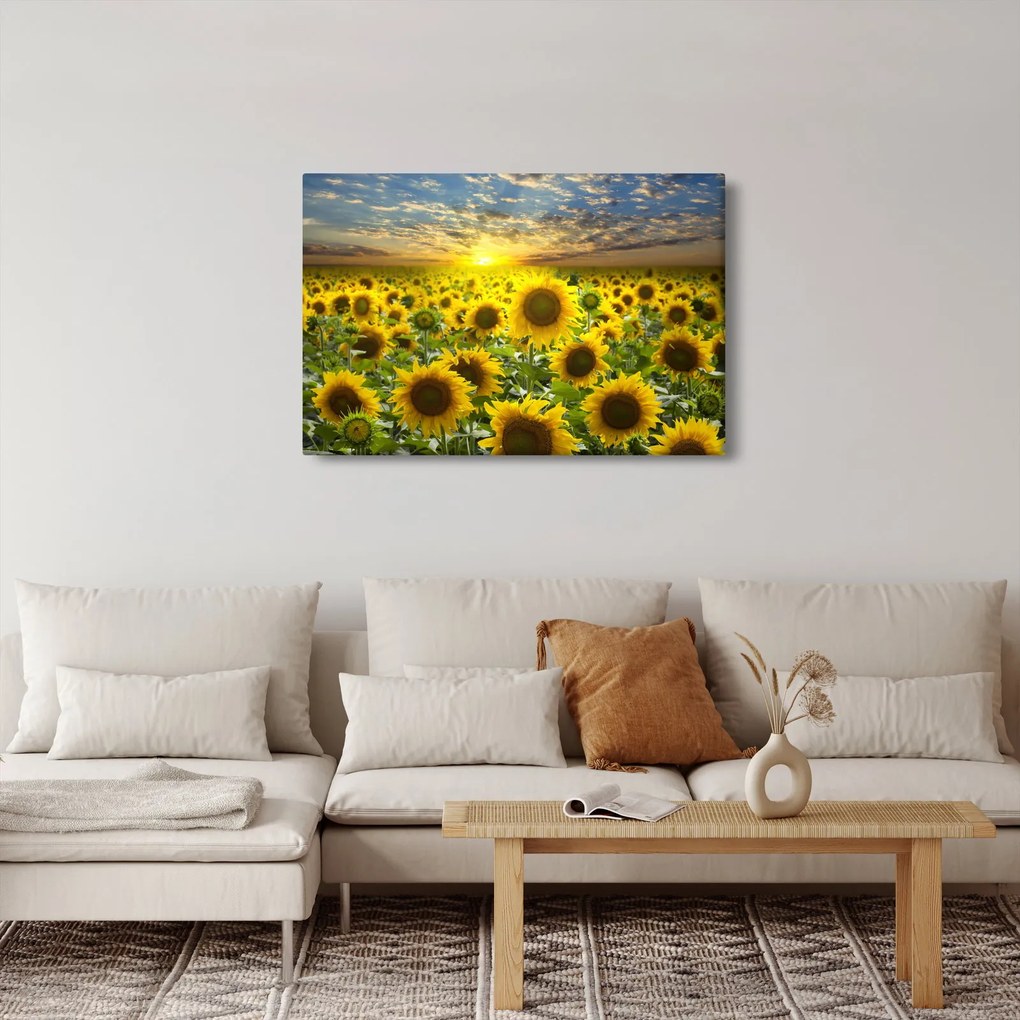 Tablou - Floarea-soarelui la apus de soare (90x60 cm)