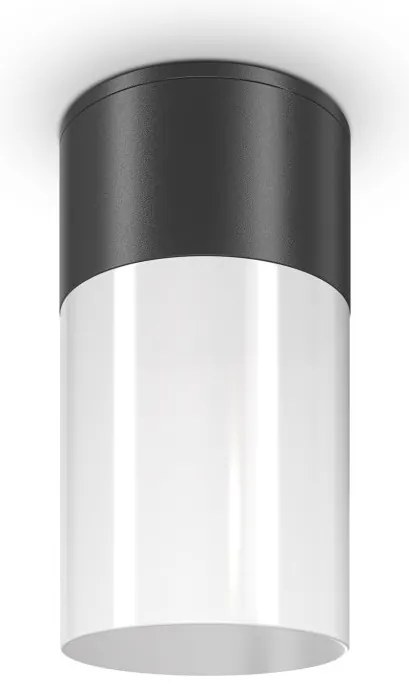 Spot aplicat, plafoniera pentru iluminat exterior IP54 Willis negru