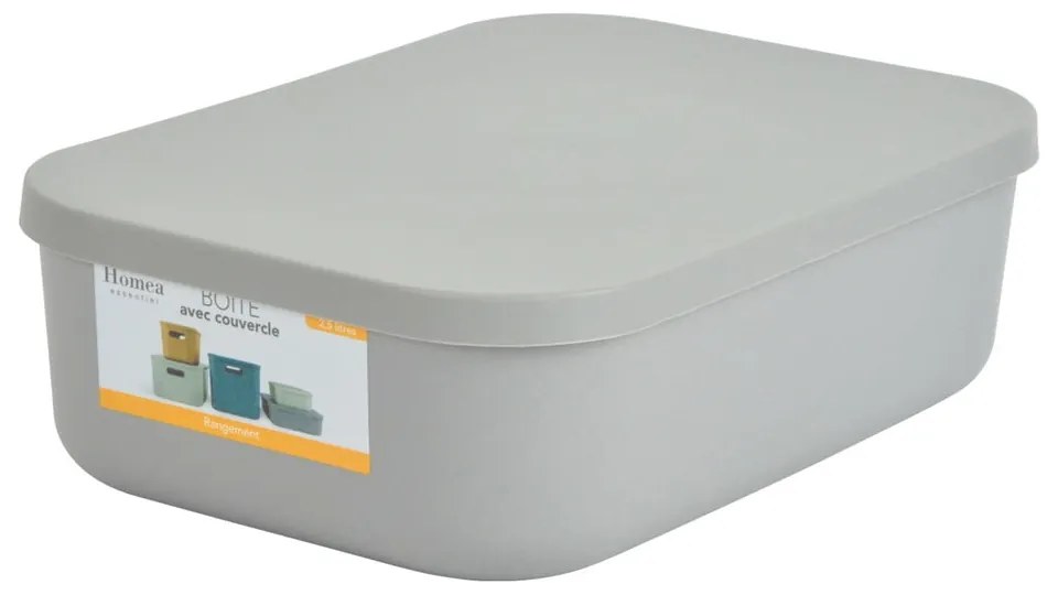 Cutie de depozitare gri din plastic cu capac 24x18x8 cm – Homéa