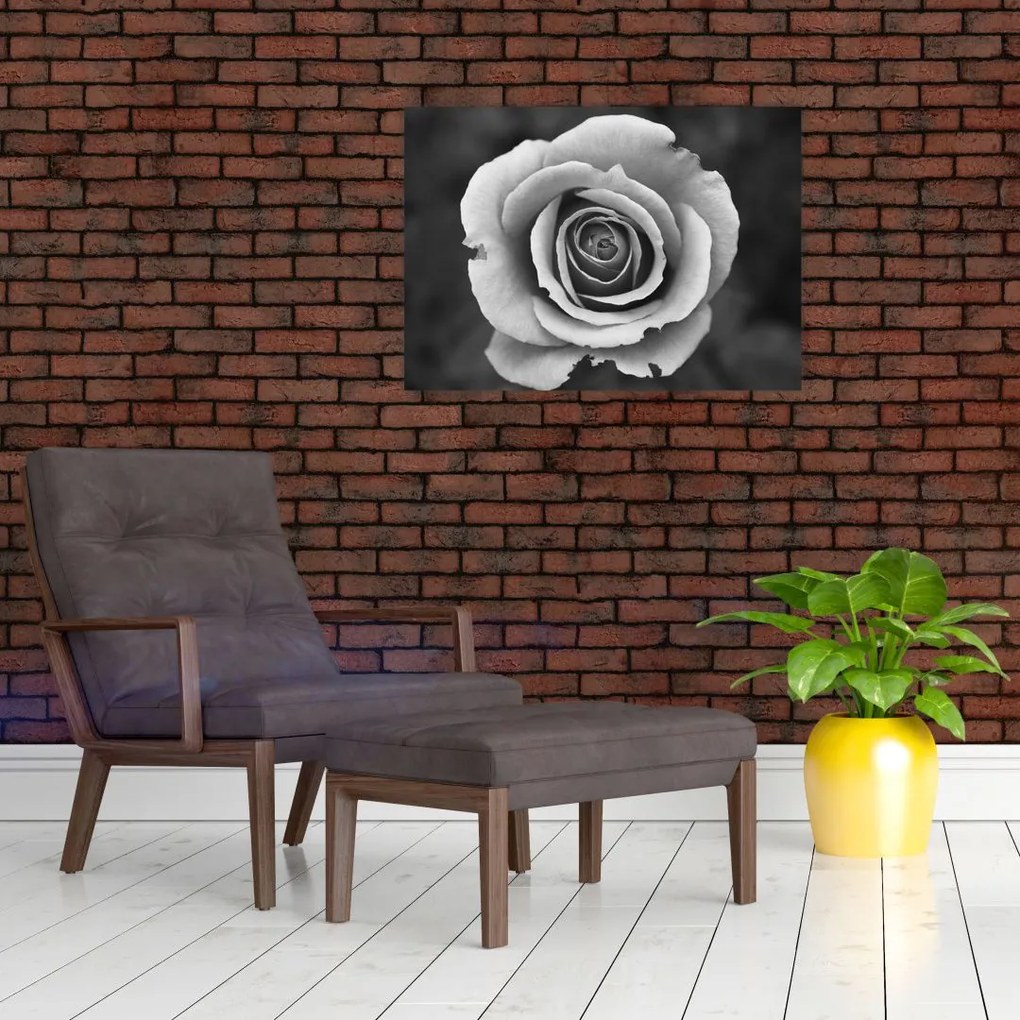 Tablou - Trandafir (70x50 cm)
