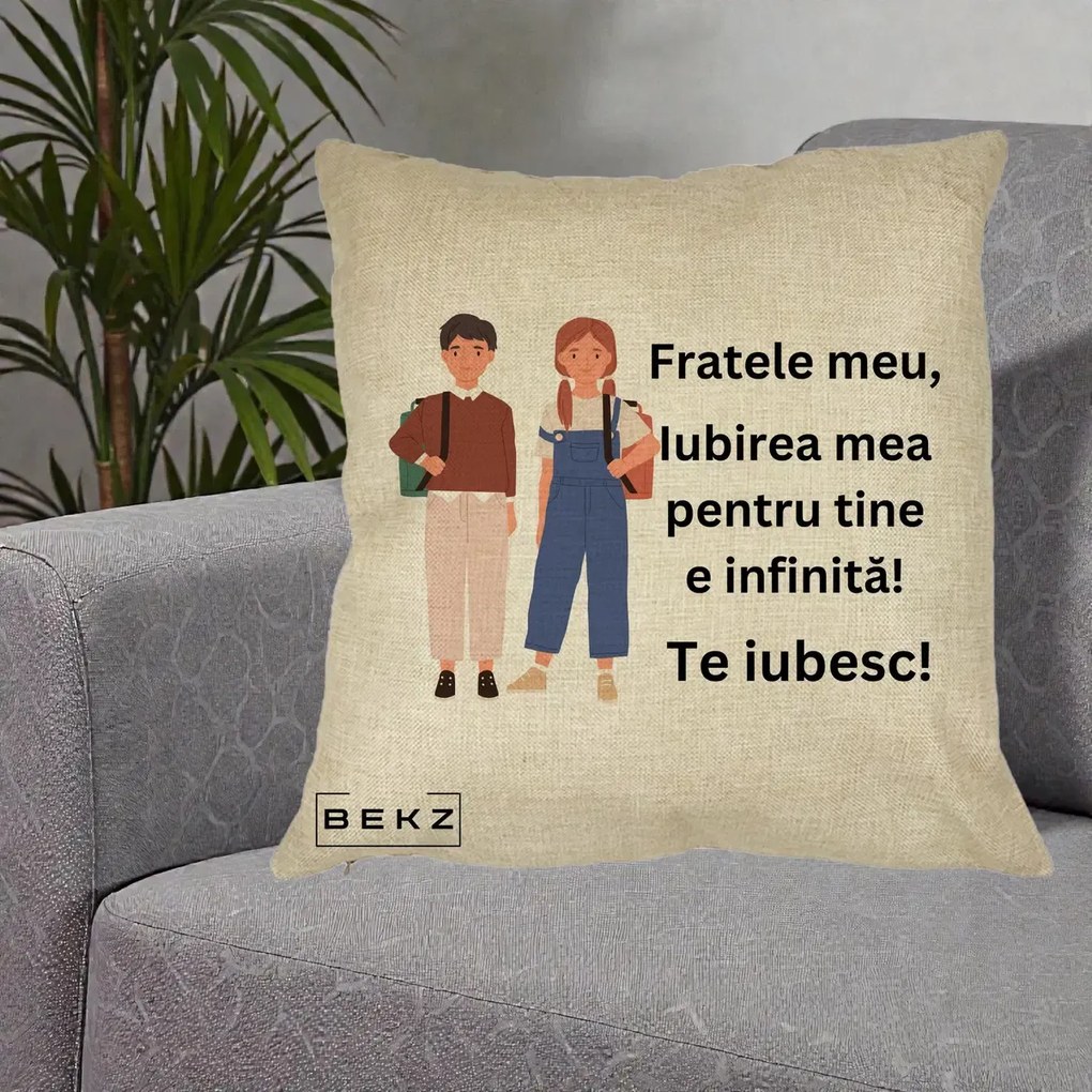 Cadou pentru Frate - Perna Personalizata Fratele Meu Te Iubesc Elevi Ilustratie Colorata, 40x40 cm, Crem, Husa Detasabila, Perna Inclusa, BEKZ®